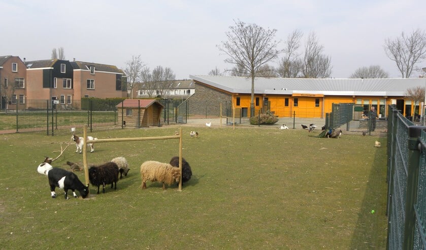 Zaterdagmiddag a.s. is er een speciale dierendag openstelling.