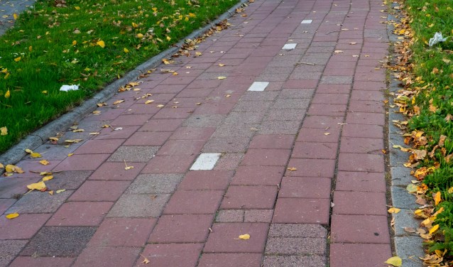 Als gevolg van de aanhoudende droogte kamt het fietspad langs de Engelendaal met losliggende tegels.