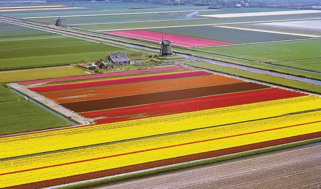 Diverse partijen werken samen aan de Bollenpolder van de Toekomst.