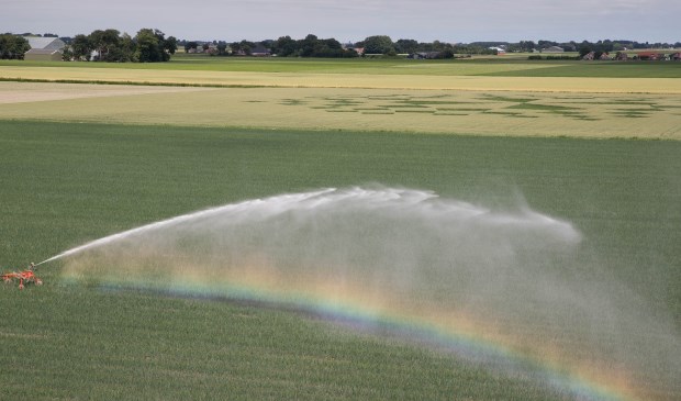 Tijdens de lange droge zomer mochten boeren beperkt sproeien.