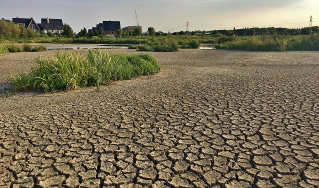 Droogte in de Polders Poelgeest. | Foto Brigit den Andel