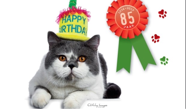 Felikat viert in 2019 het 85-jarige bestaan.