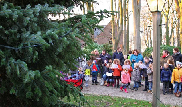 Door het zingen van kerstliedjes ontstaken de kinderen de lichtjes in de kerstboom.