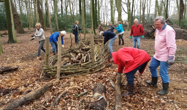Leden van de Rotary Oegstgeest helpen mee in het Overbosch. | Foto: pr.