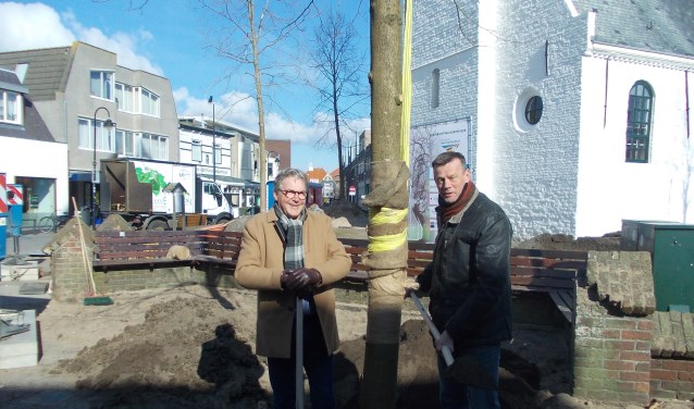 Martijn Bilars (links) en Henri de Jong bij de eerste geplante krimlinde bij de Witte Kerk. | Foto en tekst: Piet de Boer