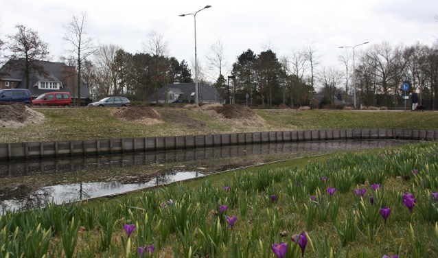 De gezichtsbepalende kastanjes zijn verdwenen omdat een ziekte de kap noodzakelijk maakte. | Foto: WS