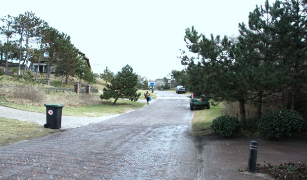 In de villawijken Dobbelmannduin en de Zuid moet men binnenkort ook het snippergroen legaliseren.