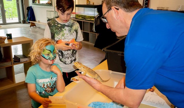 Bert van Eijk van het MEC toont een baardagaam aan een jonge bezoeker, die in reptielenstijl is geschminckt.