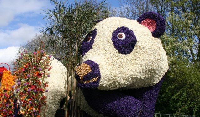 Pandavriendschap Wu Wen en Xing YA, de praalwagen van het corso in 2017. | Foto: Wilma van Velzen