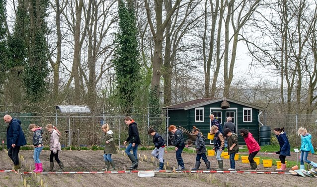 Wethouder Olaf McDaniel gaat de leerlingen van de Koningin Julianaschool voor bij het paadjes trappen. | Foto: J.P. Kranenburg