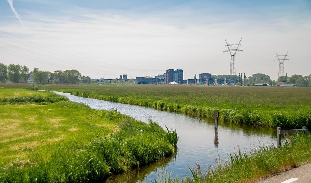 De Boterhuispolder gezien vanaf de Nieuweweg. Rechts van de sloot staat het gras nog hoog, links is het gemaaid. | Foto: J.P. Kranenburg