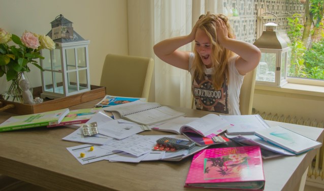 Charlotte Laméris is hard aan het blokken voor de laatste examenloodjes. | Foto: met dank aan Charlotte