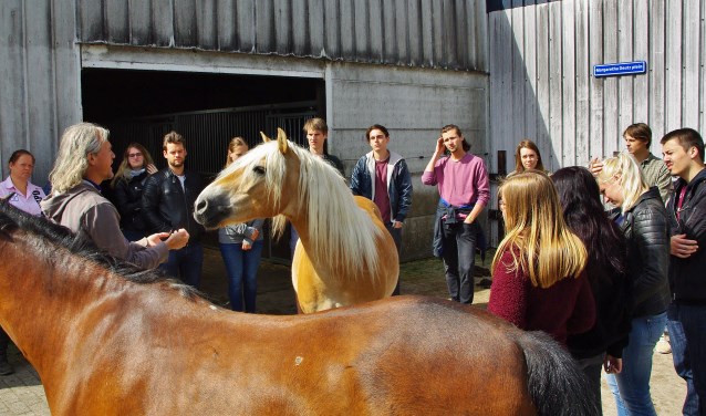 Dr. Slabbekoorn: 'Als wij rustig zijn, en in hun gezichtsveld blijven, worden paarden ook relaxed.' | Foto Willemien Timmers