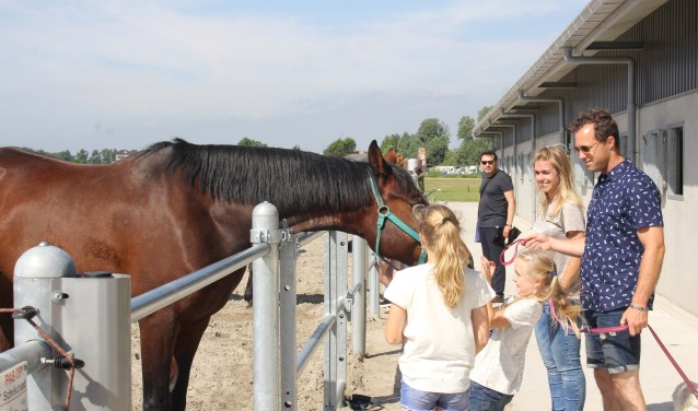 Paardjes kijken tijdens de jaarlijkse happening. | Foto: Annemiek Cornelissen