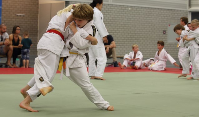 Op acht judomatten werd er zeer sportief gestreden voor de medailles. | Foto Karel David van der Gun