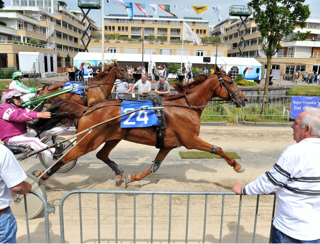 De paarden snellen over de Teijlingerlaan. | Foto: Willem Krol