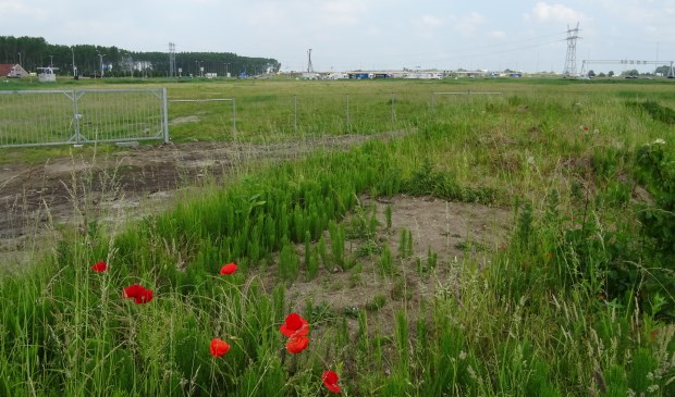 Het terrein tussen de Persant Snoepweg en de A4 waar de grote blauwe doos van Ikea had moeten komen.