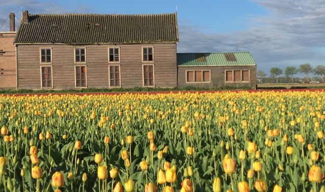 Helaas laat de huidige staat van de bollenschuur het niet toe om het pand te restaureren. | Foto: pr
