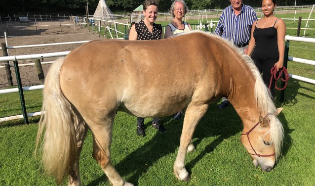 De vierjarige Guus is sinds juni de nieuwe aanwinst bij de manege. | Foto: archief, tekst Arie in 't Veld