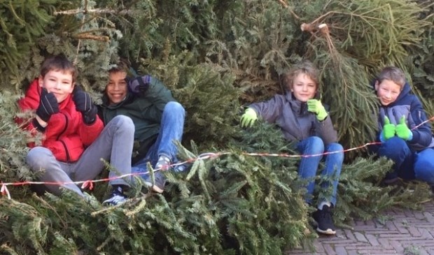 Thomas, Lars, Guido en Mendel in de berg kerstbomen die ze hebben opgehaald in de Kerkwijk.