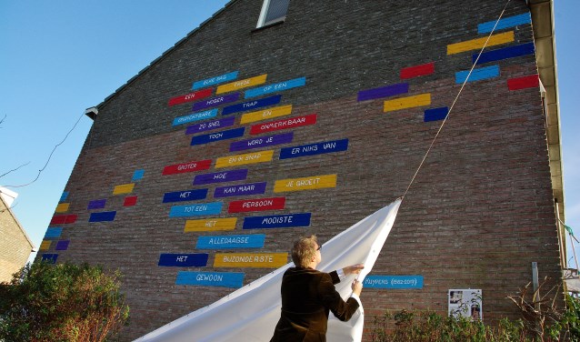 'Muureigenaar' Hilmar Leujes onthulde het gedicht aan de Jan Wolkerslaan. | Foto Willemien Timmers