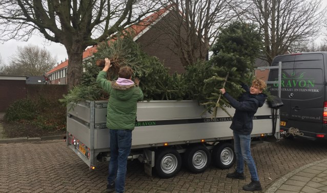 De scouts hadden het er maar druk mee, zaterdag. Er waren honderden bomen aan de straat gezet. |