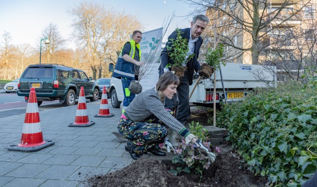 Wethouder Matthijs Huizing plant samen met Judith Boomsma-Batenburg planten op de plaats van tegels.