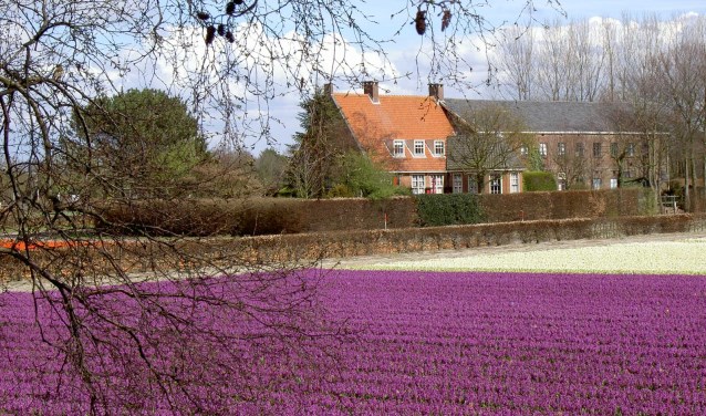 Het CHG vindt dat de bollenschuur bij de hoeve behouden moet blijven.