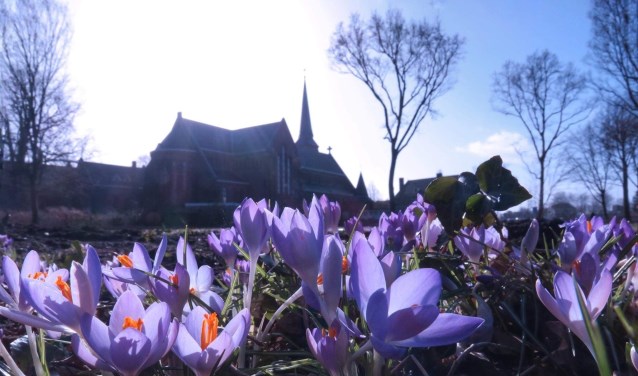 Deze prachtige foto is gemaakt door Tony Whelan en laat mooi zien hoe licht het is geworden op deze plek.