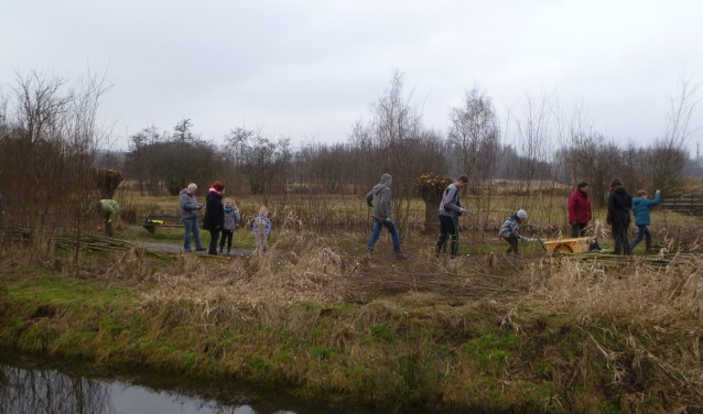 Een goed beheerd griend heeft een hoge natuurwaarde en daar is het de vrijwilligers ook om te doen.| Foto: PR