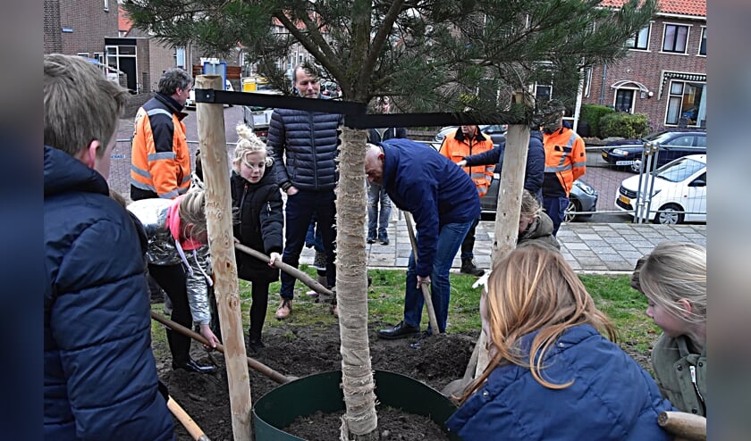 Rien Nagtegaal plantte, samen met leerlingen van de Groen van Prinstererschool bij zwembad Aquamar. | Foto: Piet van Kampen