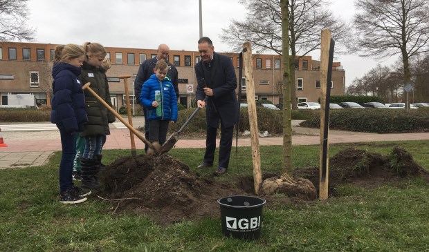 Leerlingen van de Antoniusschool planten samen met wethouder Rob ten Boden nieuwe fruitbomen aan de Componistenlaan.