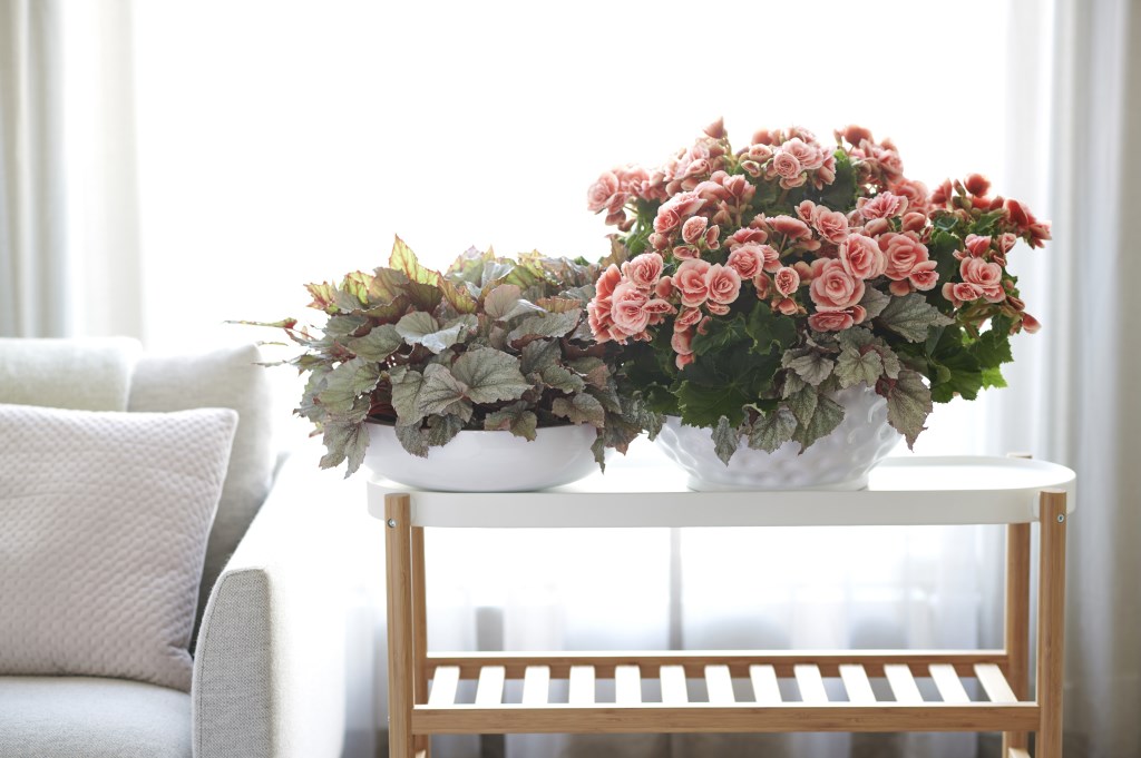 Styling Elize Eveleens - Klimprodukties