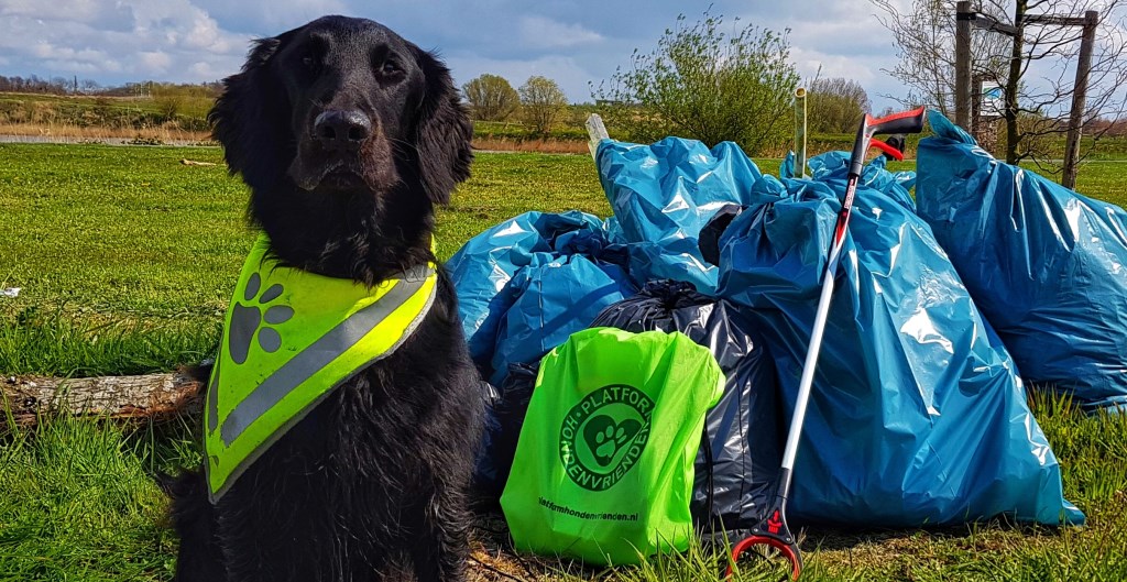 Ook hond Bongo deed mee met de schoonmaakactie. Hij haalde allerlei troep uit het water.