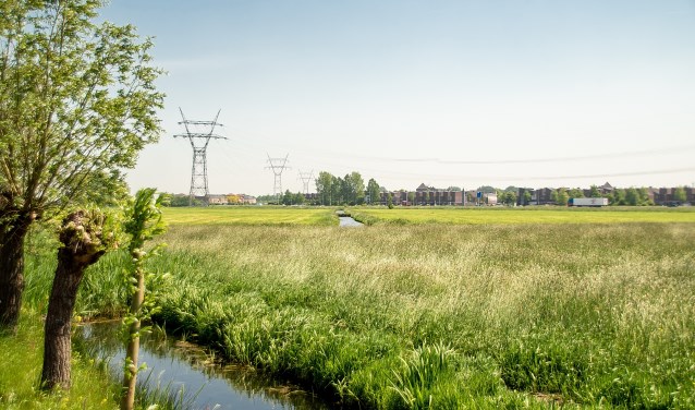 De Boterhuispolder half mei 2018, gezien vanaf de Nieuweweg. Op de voorgrond staat het gras hoog, op de achtergrond is gemaaid.