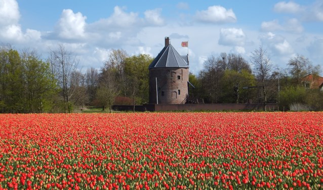 Binnenkort klinken onder meer Gregoriaanse gezangen van het Minderbroederskoor Pax et Bonum in 't Huys Dever.