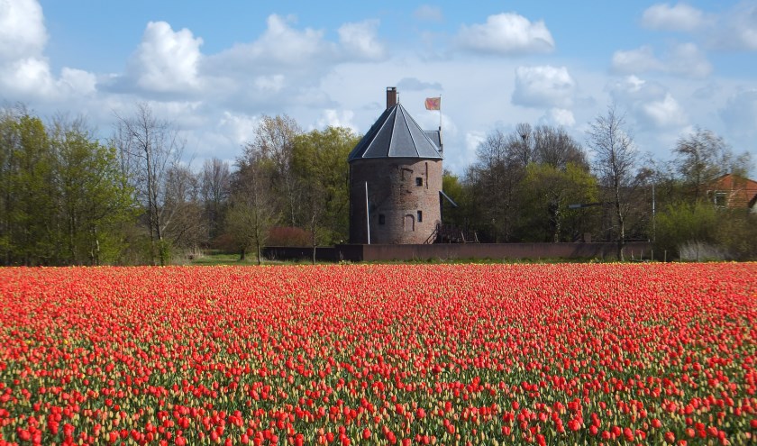 Binnenkort klinken onder meer Gregoriaanse gezangen van het Minderbroederskoor Pax et Bonum in 't Huys Dever.
