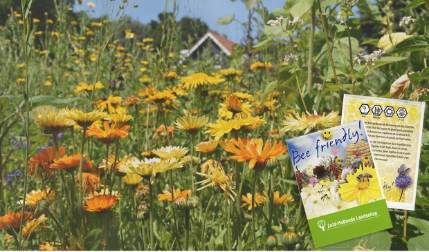 Met de gratis bloemzaadjes komen er bloemen in je tuin waar bijen dol op zijn.