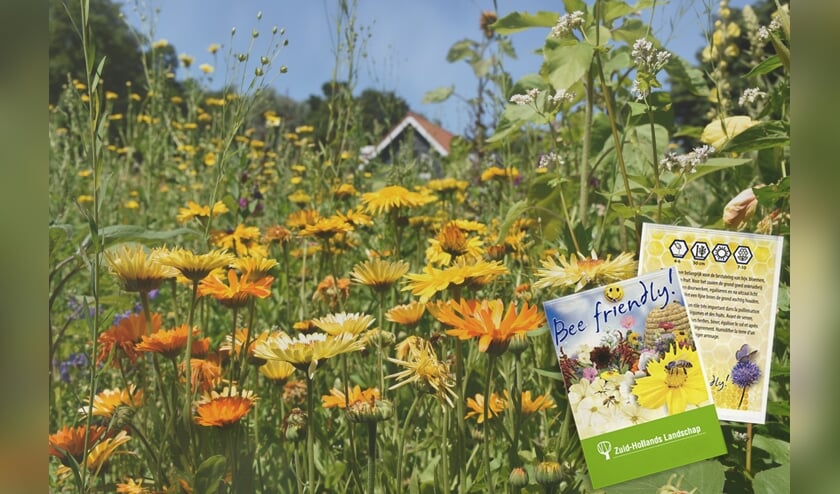 Met de gratis bloemzaadjes komen er bloemen in je tuin waar bijen dol op zijn.