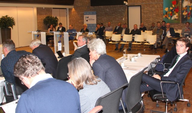 Een beperkt publiek zag dat de raad unaniem de plannen van de Kornoeljelaan omarmde. | Foto: WS