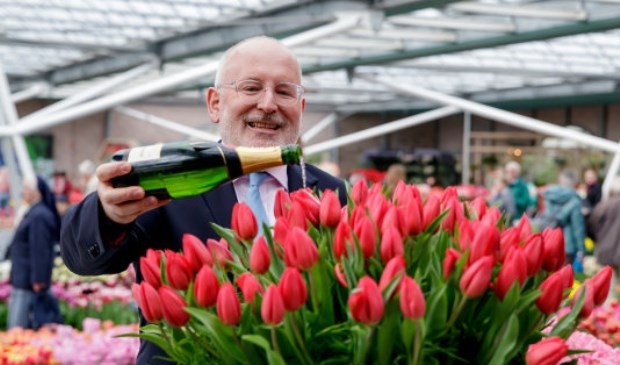 Timmermans doopte de tulp Peters Pride.