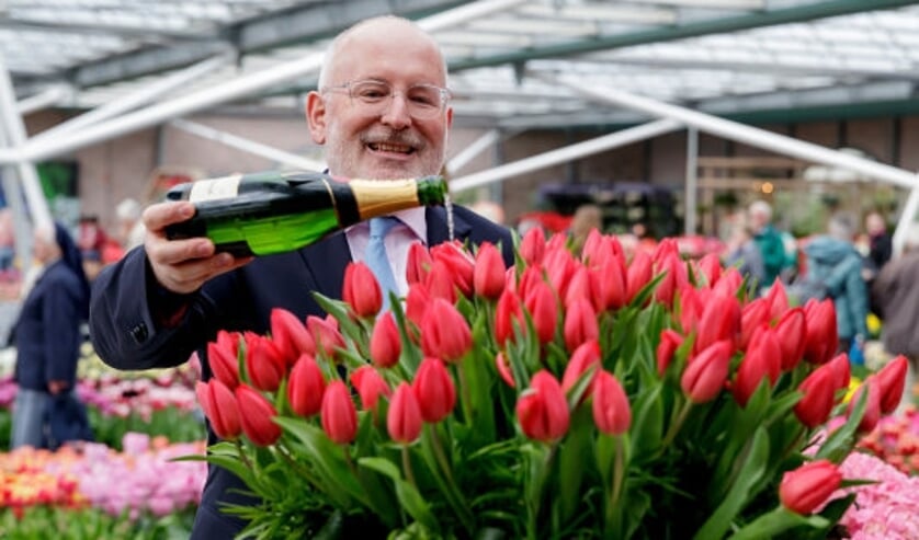 Timmermans doopte de tulp Peters Pride.