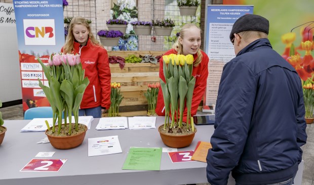 Tulpen keuren bij Keukenhof.