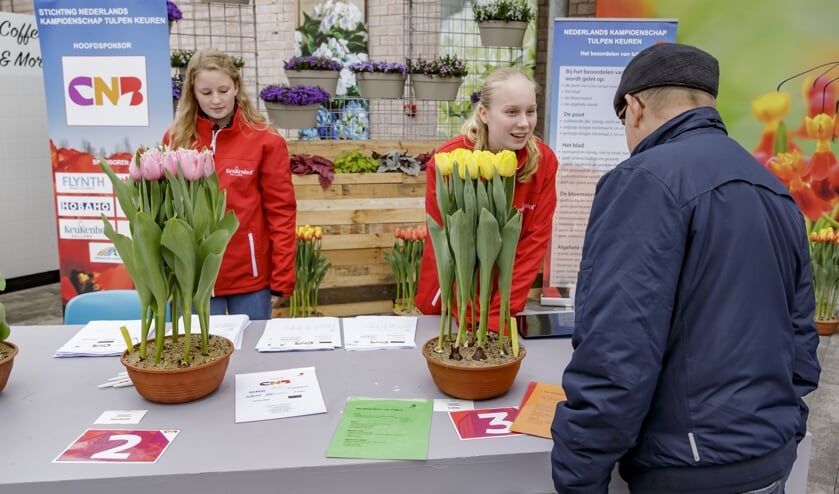 Tulpen keuren bij Keukenhof.