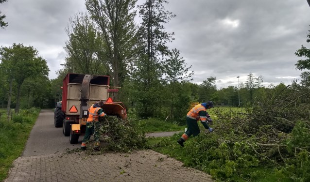 Het pas gesnoeide groen bij de wielerbaan verdwijnt in de shredder.