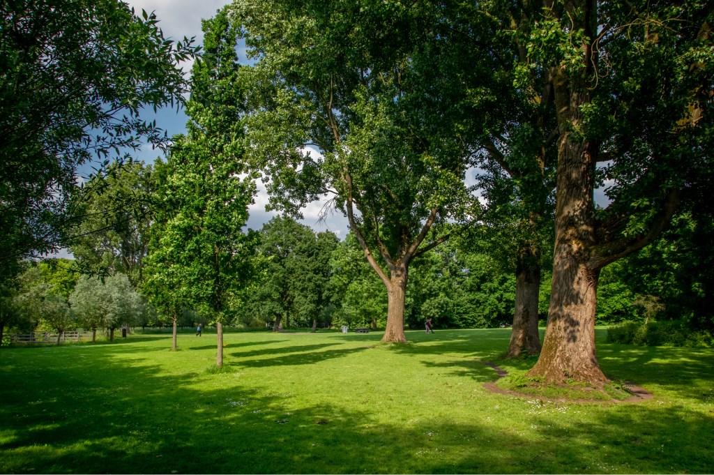 De muziektent zou ook een plek kunnen krijgen op het grote grasveld in De Houtkamp.