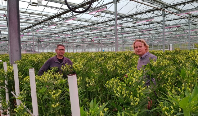 André Hoogenboom en Dirk van Vuurde tussen de White Pearls.