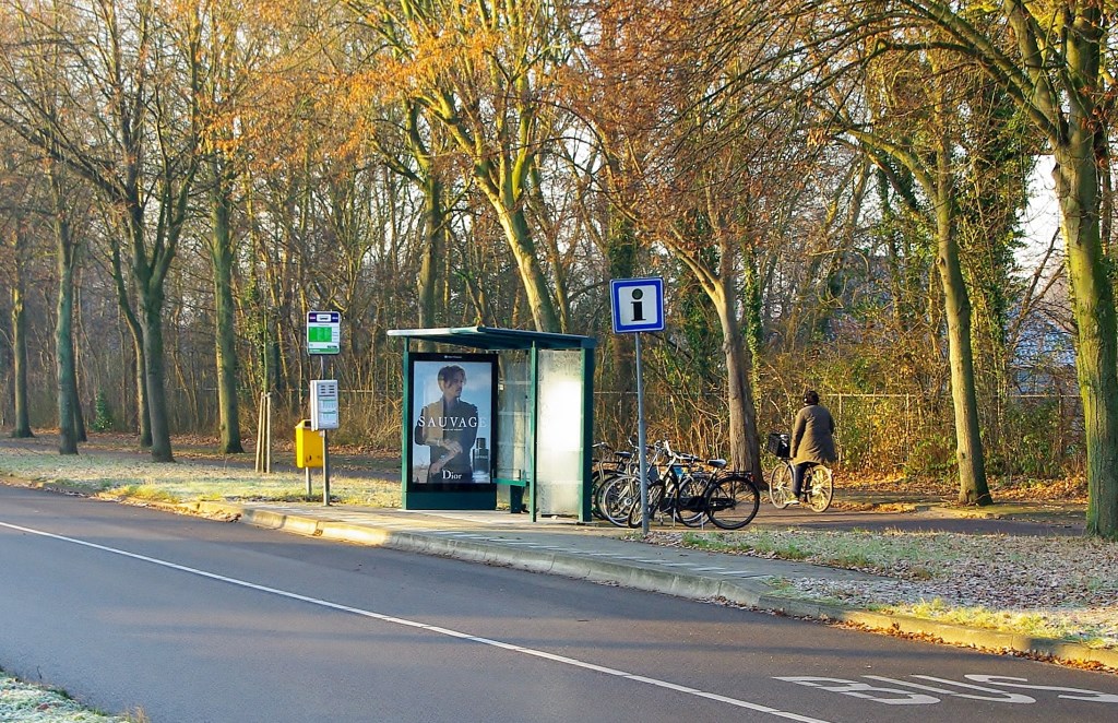 Rover vindt het belangrijk, dat er bij iedere lijn bij belangrijke haltes een goede, veilige en liefst overdekte gelegenheid is om je fiets neer te zetten. | Archieffoto Willemien Timmers