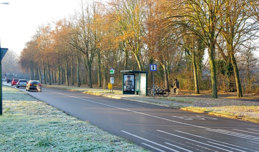Rover vindt het belangrijk, dat er bij iedere lijn bij belangrijke haltes een goede, veilige en liefst overdekte gelegenheid is om je fiets neer te zetten. | Archieffoto Willemien Timmers