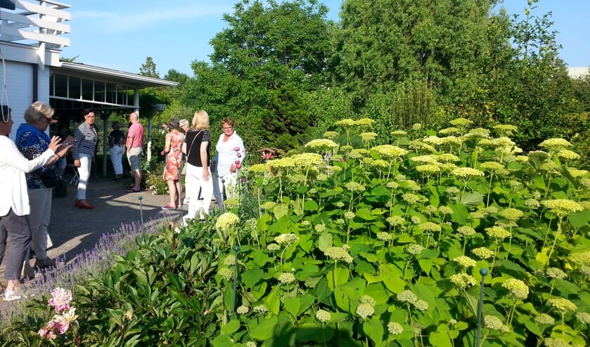 Maandag- en woensdagavond werden de tuinen door de deelnemers bekeken.